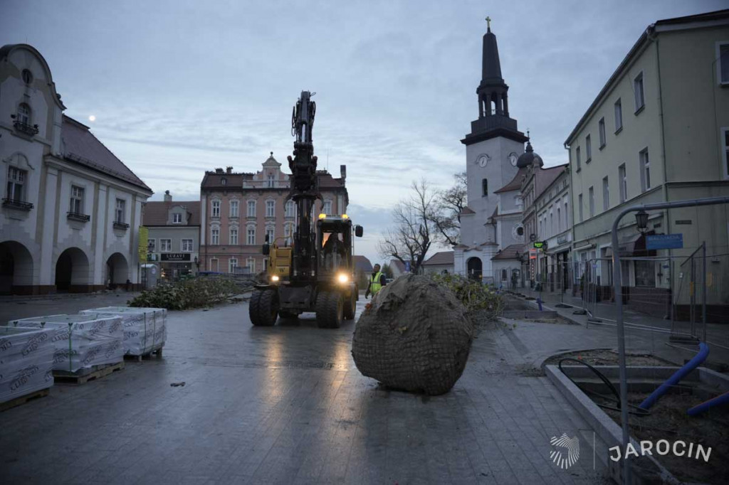 Centrum Jarocina z okazałymi platanami