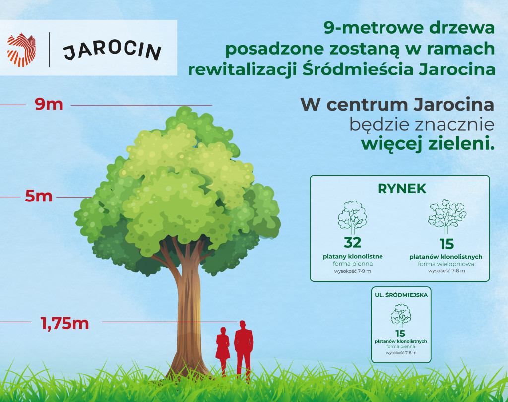Centrum Jarocina z okazałymi platanami