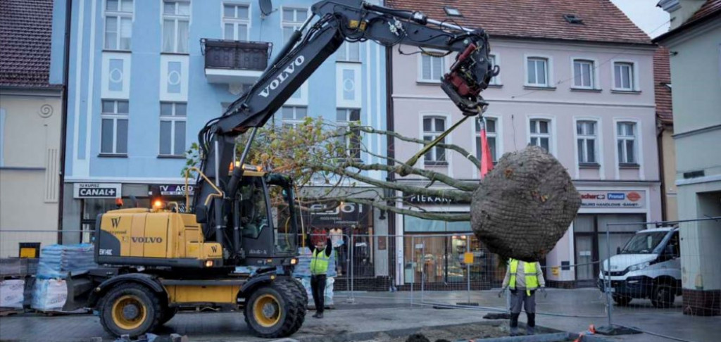 Centrum Jarocina z okazałymi platanami