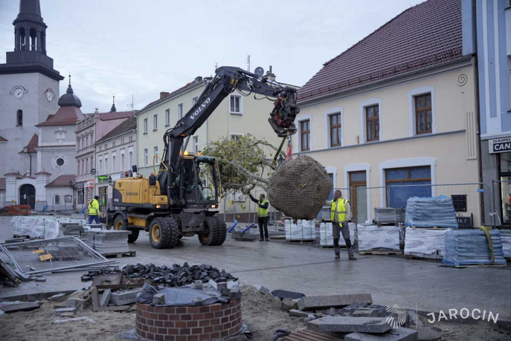 Centrum Jarocina z okazałymi platanami