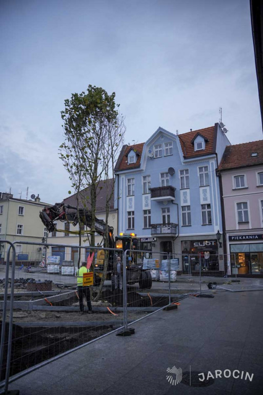 Centrum Jarocina z okazałymi platanami