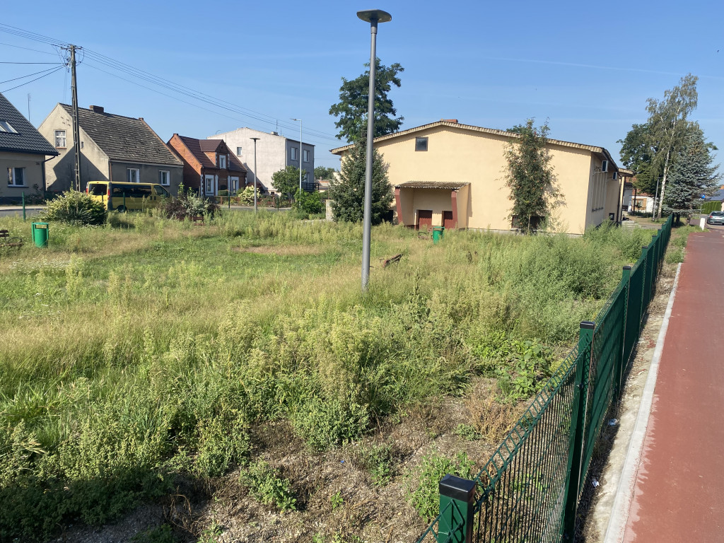 Fenomenalna Potarzyca