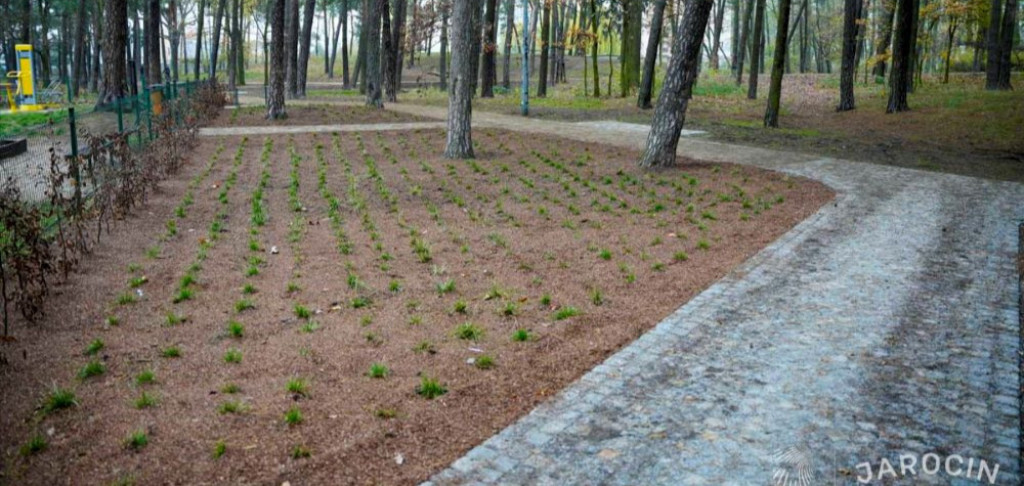 Pięknieje park przy ul. Szubianki i ul. Wrocławska