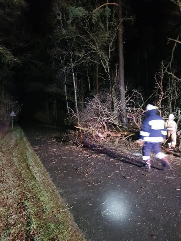 Nocna wichura w powiecie jarocińskim
