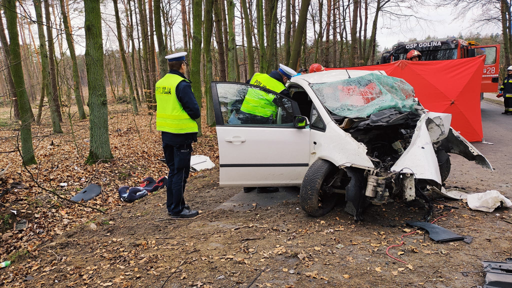 Śmiertelny wypadek między Zakrzewem a Goliną