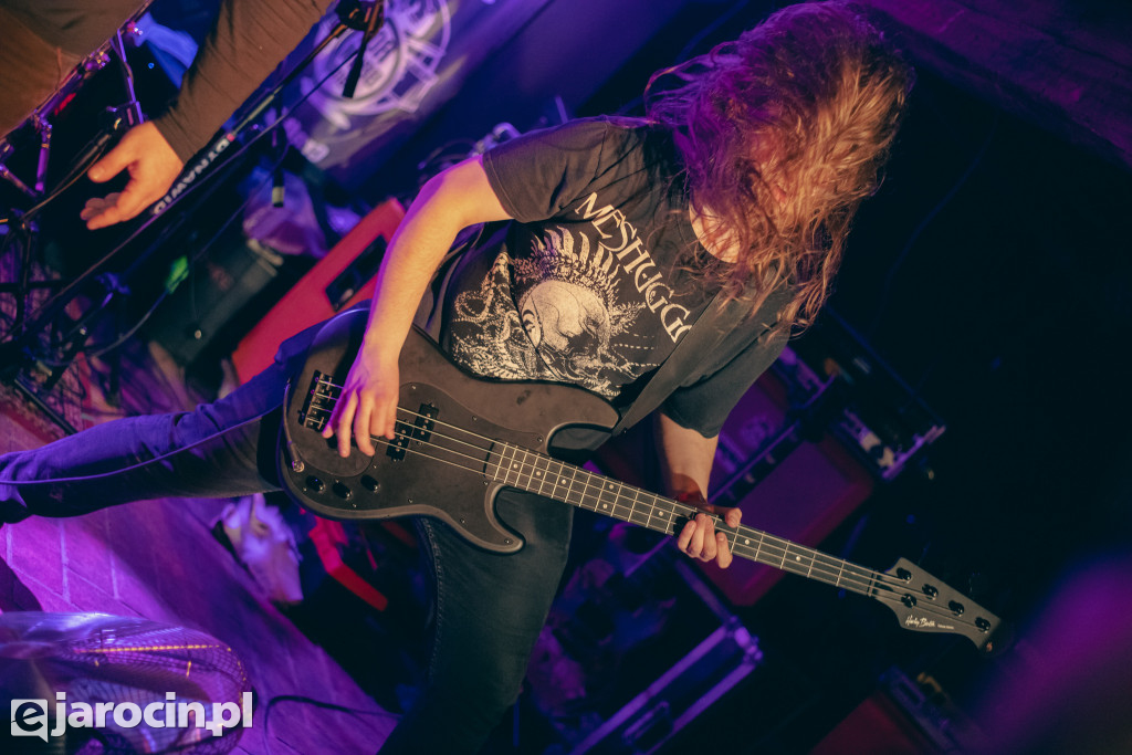 PUNKY REGGAE live 2023 - CZĘŚĆ PIERWSZA