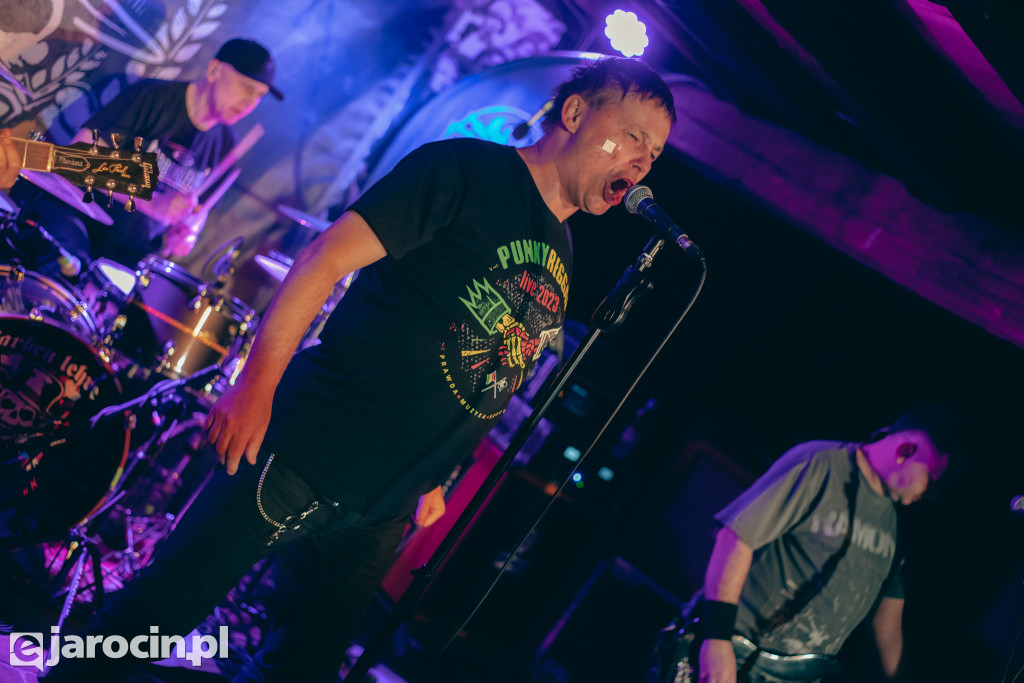 PUNKY REGGAE live 2023 - CZĘŚĆ DRUGA
