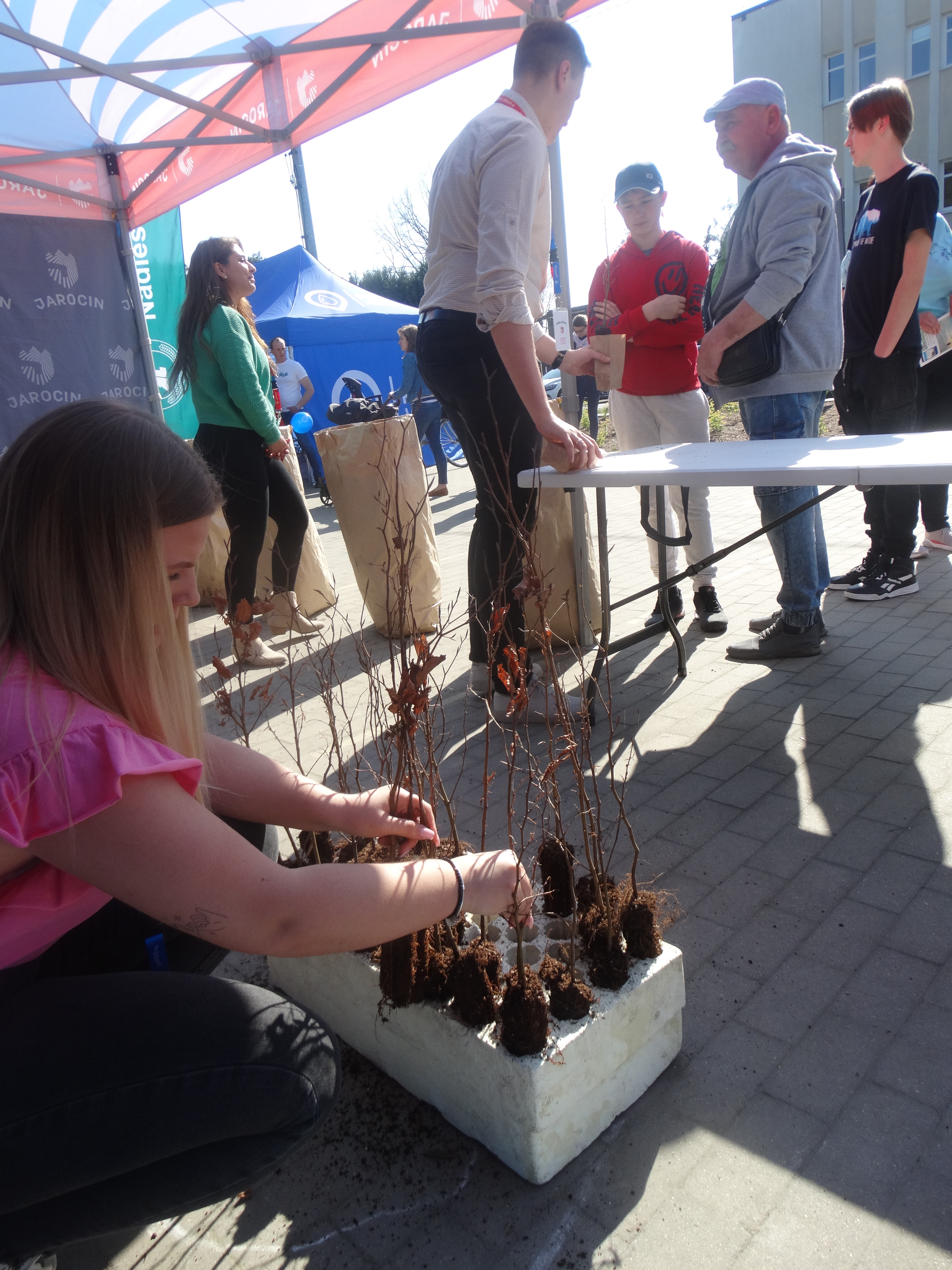 Pierwsze ze 10.000 drzew w Jarocinie zasadzone