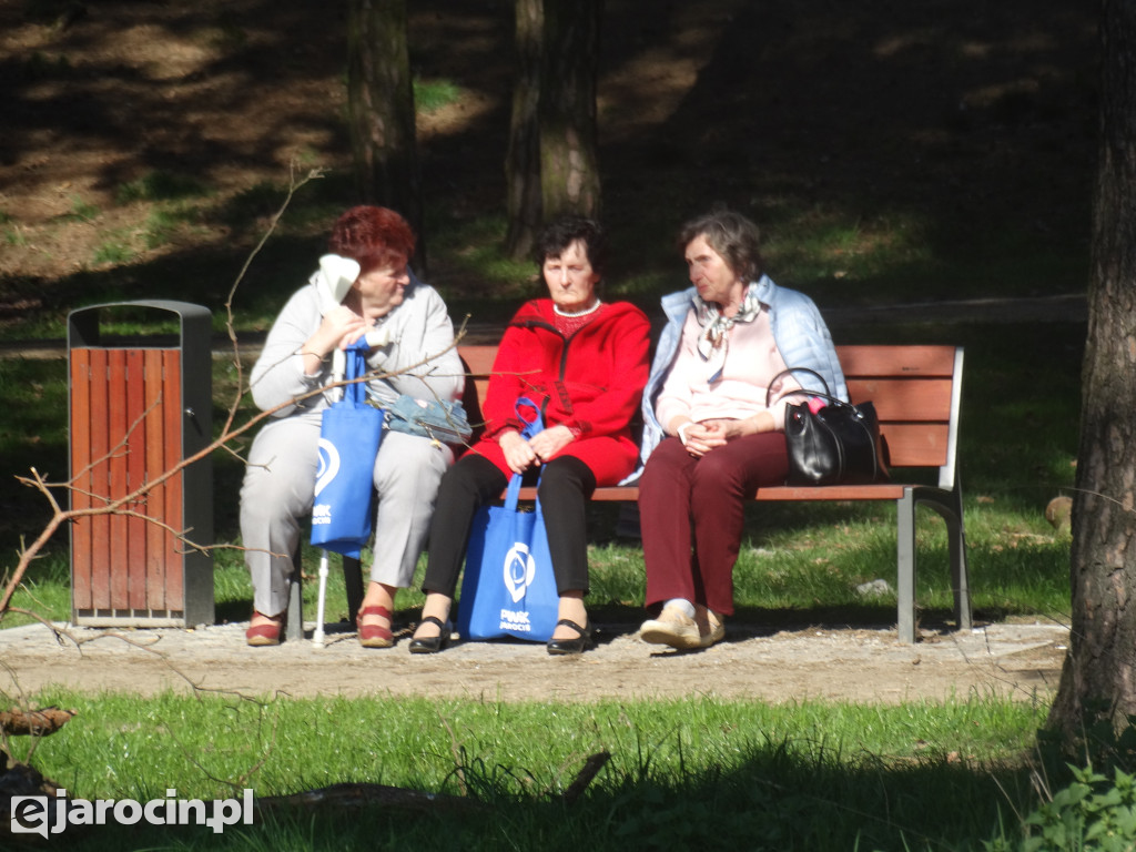 Pierwsze ze 10.000 drzew w Jarocinie zasadzone