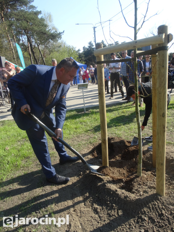 Pierwsze ze 10.000 drzew w Jarocinie zasadzone