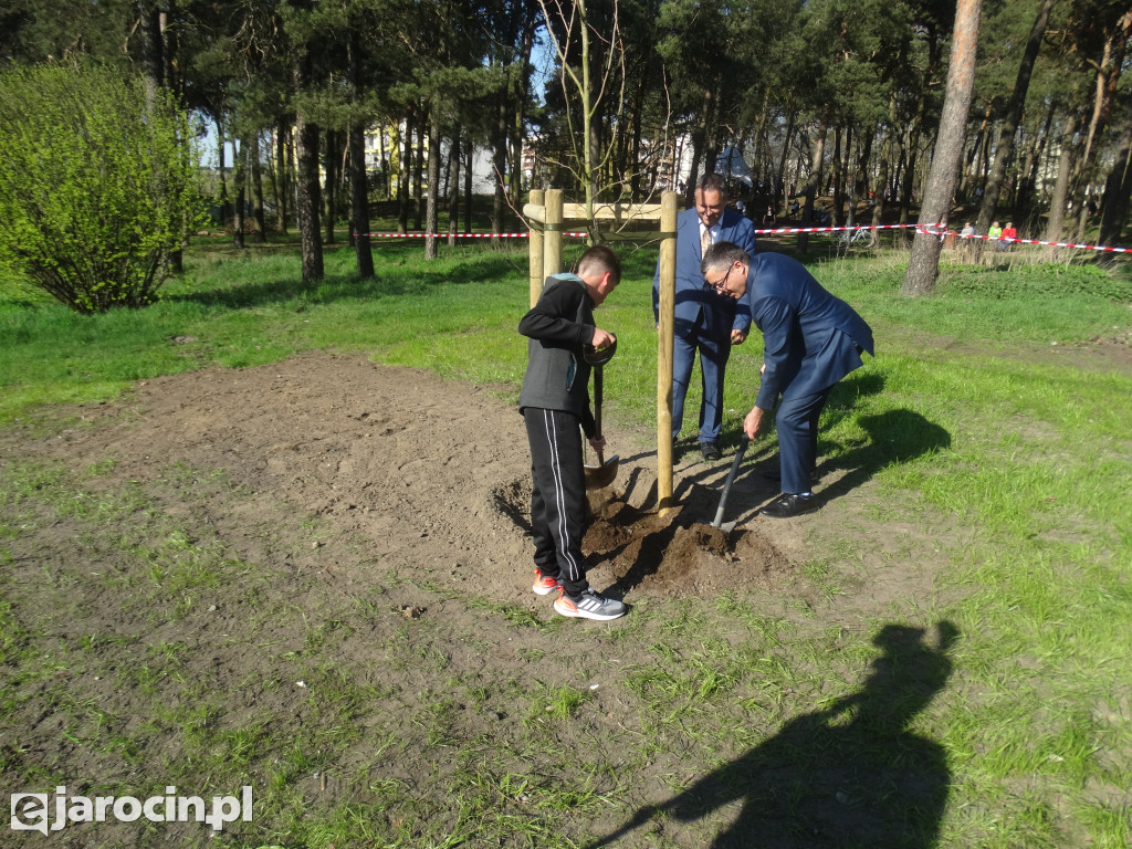 Pierwsze ze 10.000 drzew w Jarocinie zasadzone