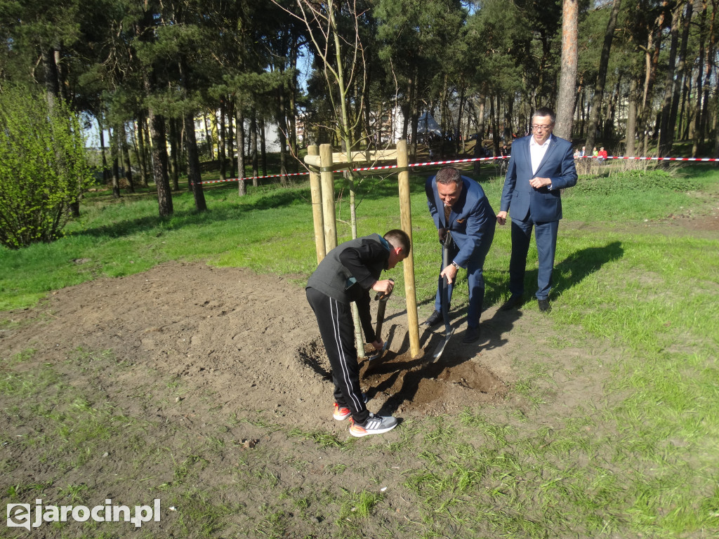 Pierwsze ze 10.000 drzew w Jarocinie zasadzone