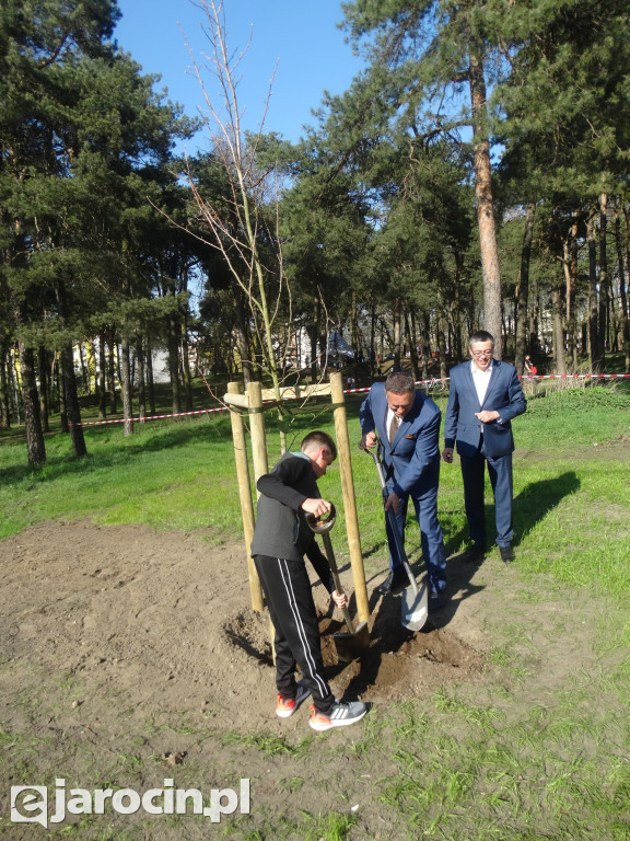 Pierwsze ze 10.000 drzew w Jarocinie zasadzone
