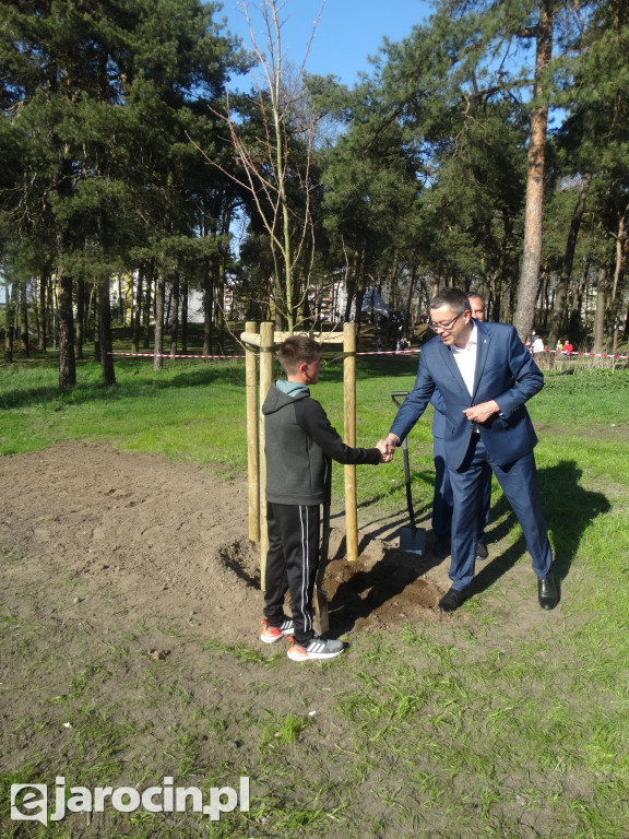 Pierwsze ze 10.000 drzew w Jarocinie zasadzone