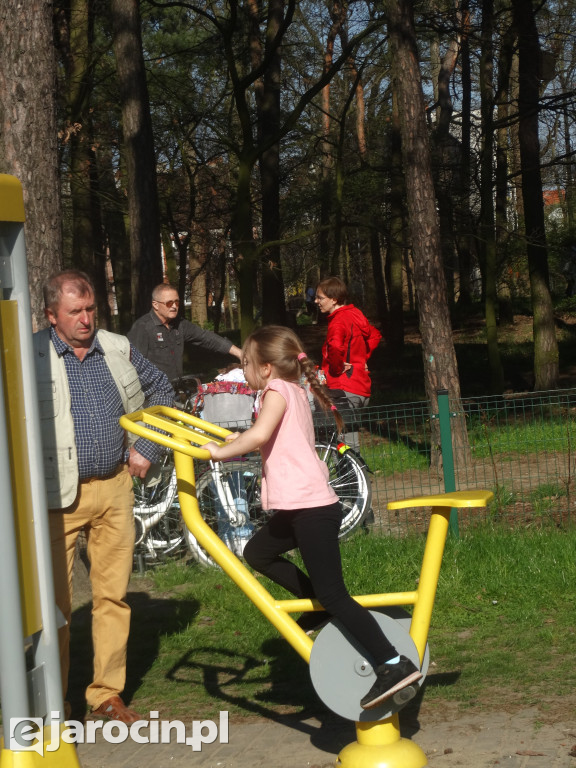 Pierwsze ze 10.000 drzew w Jarocinie zasadzone