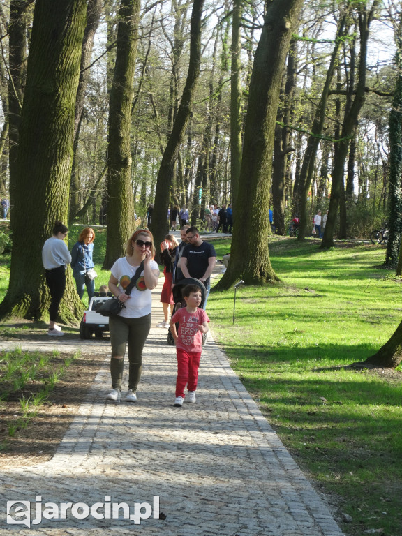 Pierwsze ze 10.000 drzew w Jarocinie zasadzone
