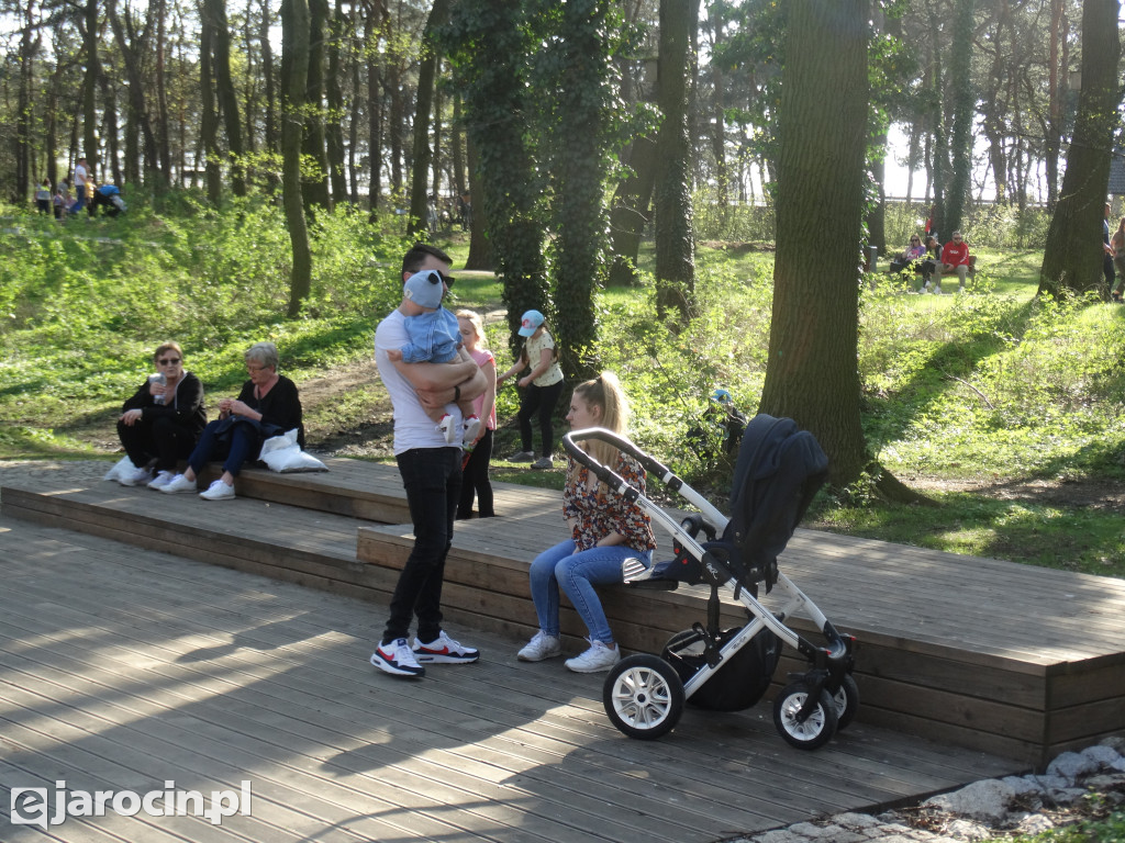 Pierwsze ze 10.000 drzew w Jarocinie zasadzone