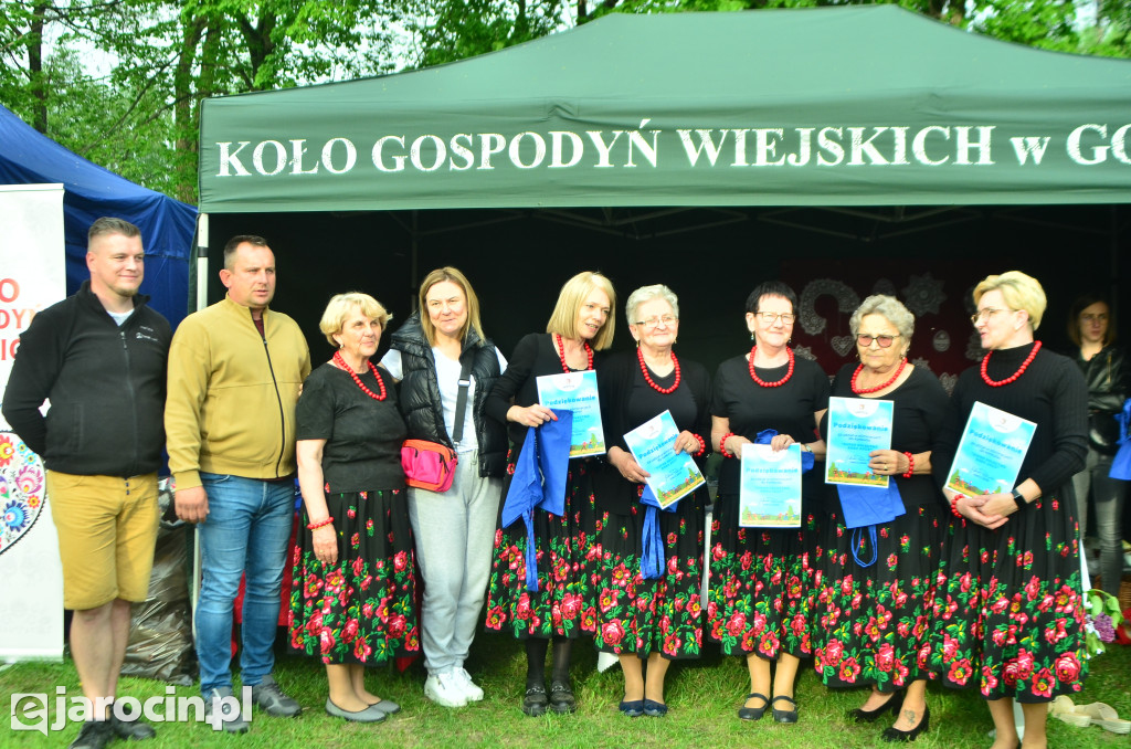 Festyn Rodzinny w Golinie