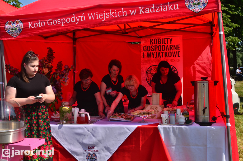 Festyn Rodzinny w Wilkowyi