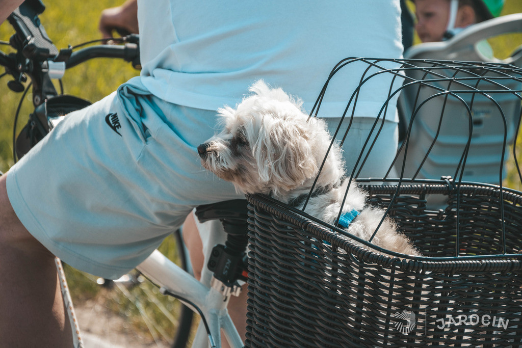 8. Zakręcony Rajd Rowerowy