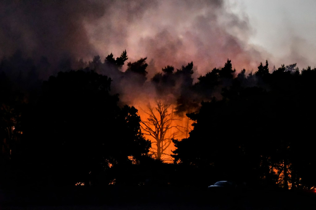 Pożar lasu w miejscowości Lubrze