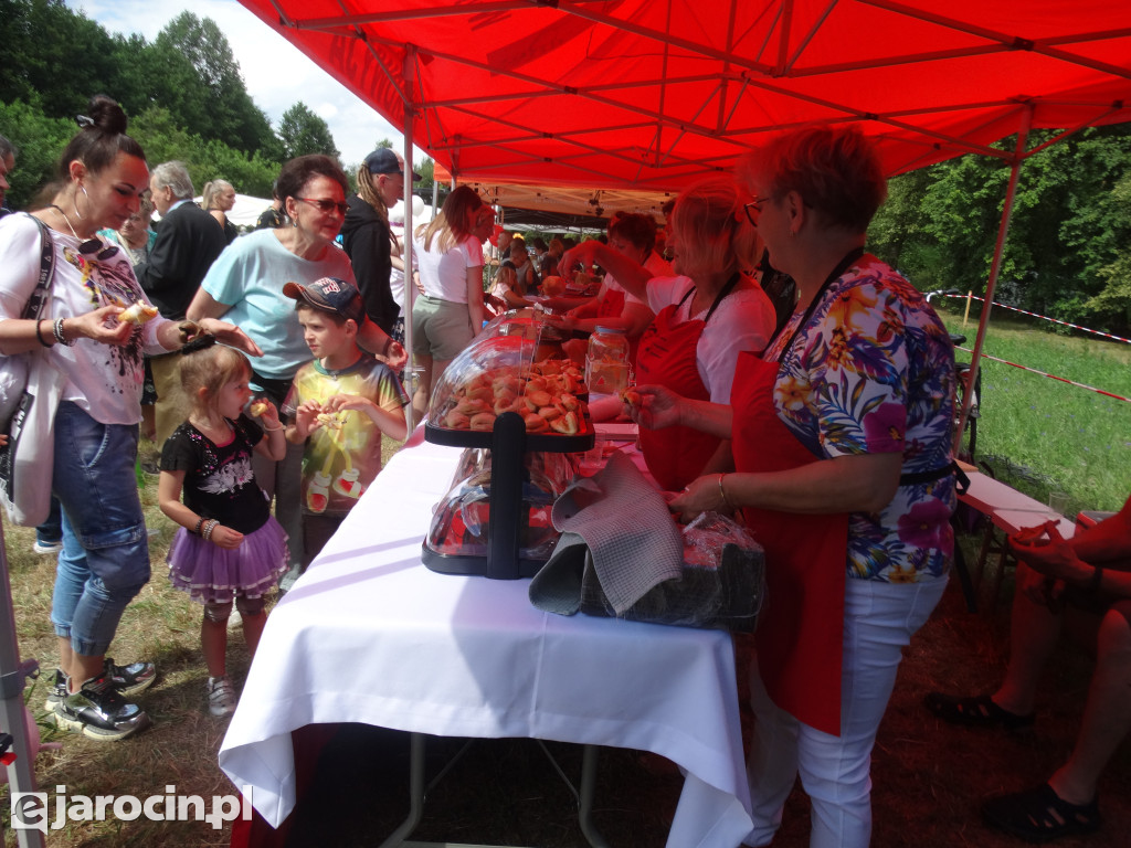 Niedziela przy Młynie w Wilkowyi