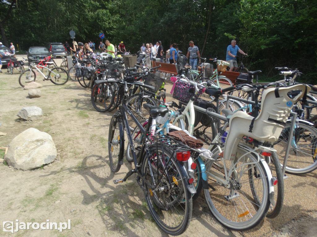 Niedziela przy Młynie w Wilkowyi