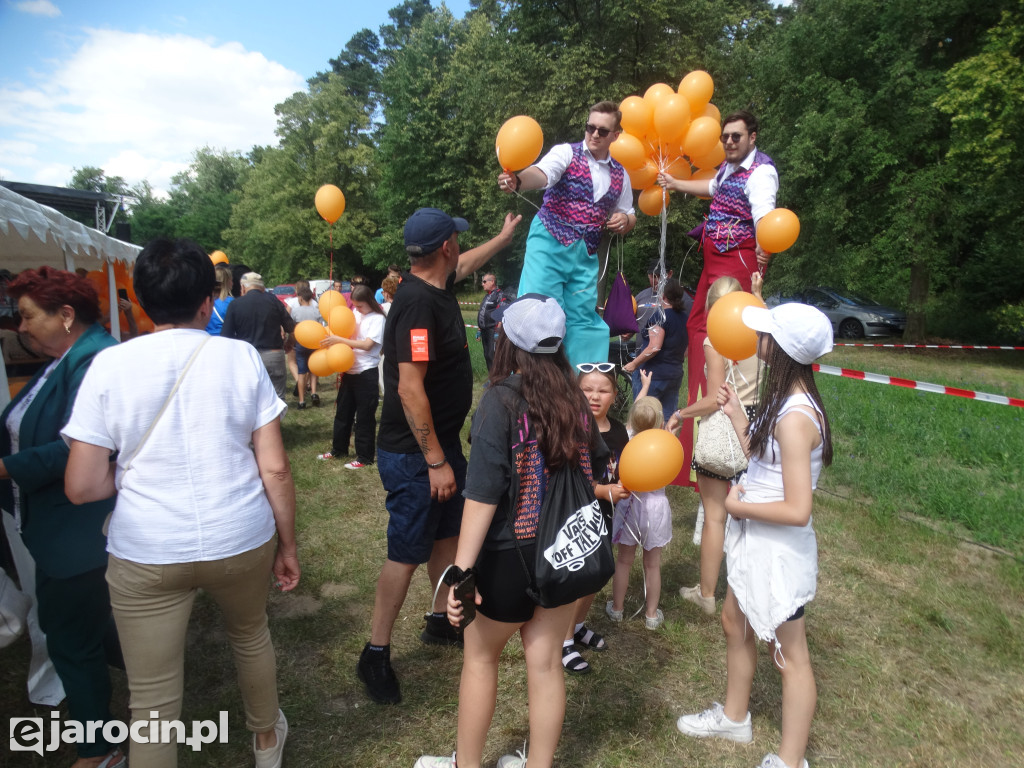 Niedziela przy Młynie w Wilkowyi