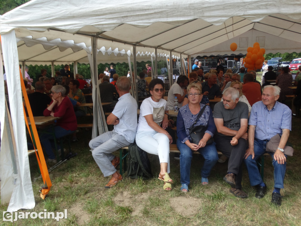 Niedziela przy Młynie w Wilkowyi