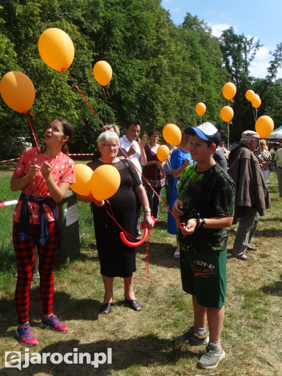 Niedziela przy Młynie w Wilkowyi