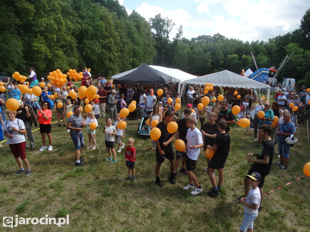 Niedziela przy Młynie w Wilkowyi