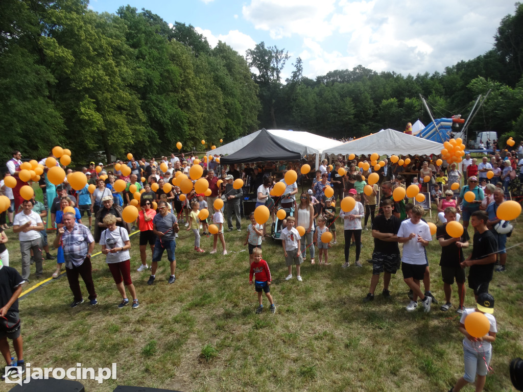 Niedziela przy Młynie w Wilkowyi