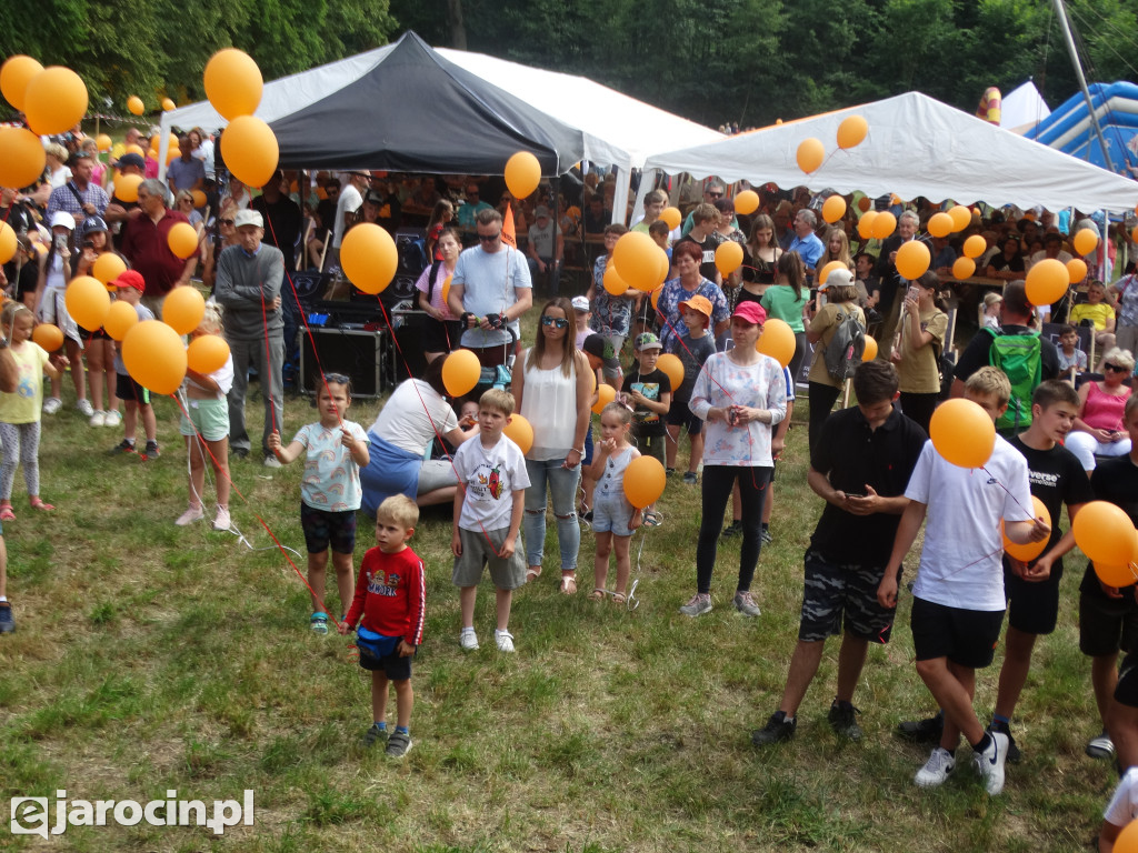 Niedziela przy Młynie w Wilkowyi