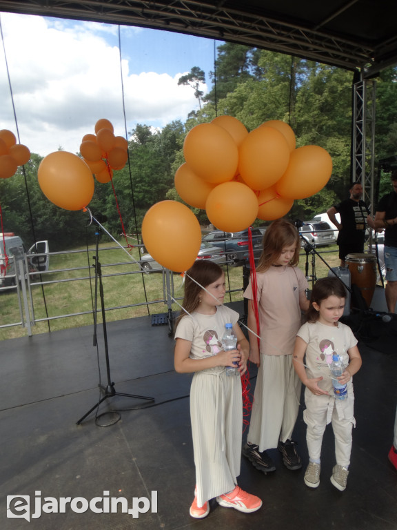 Niedziela przy Młynie w Wilkowyi