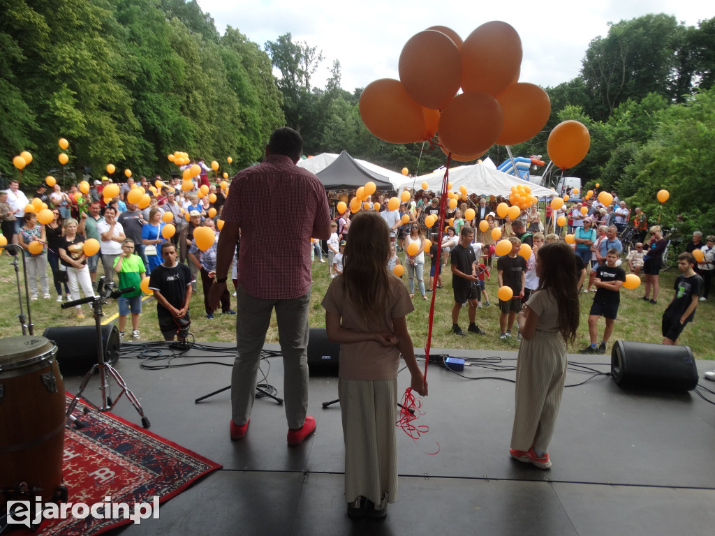 Niedziela przy Młynie w Wilkowyi