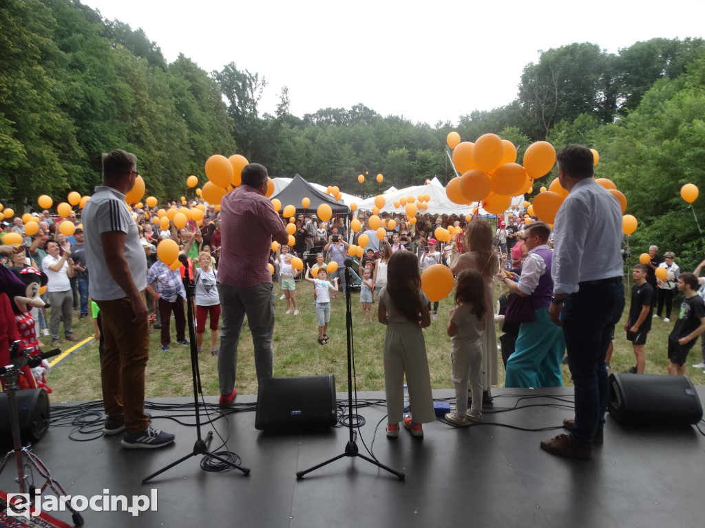 Niedziela przy Młynie w Wilkowyi