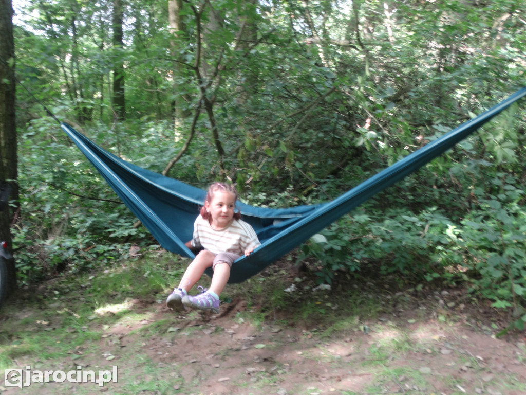 Niedziela przy Młynie w Wilkowyi