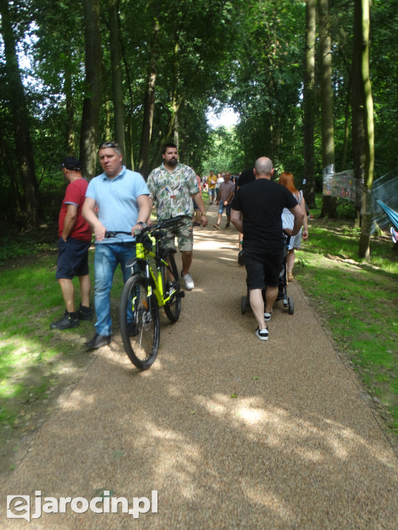 Niedziela przy Młynie w Wilkowyi