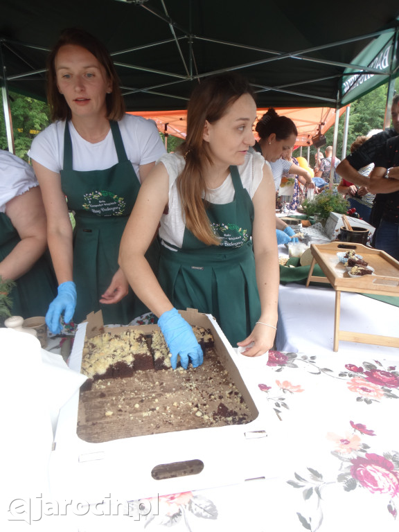 Niedziela przy Młynie w Wilkowyi
