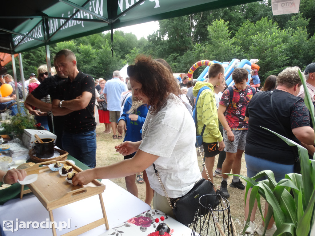 Niedziela przy Młynie w Wilkowyi