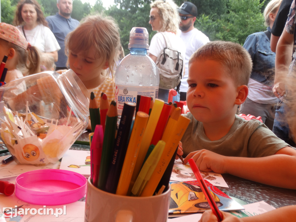 Niedziela przy Młynie w Wilkowyi