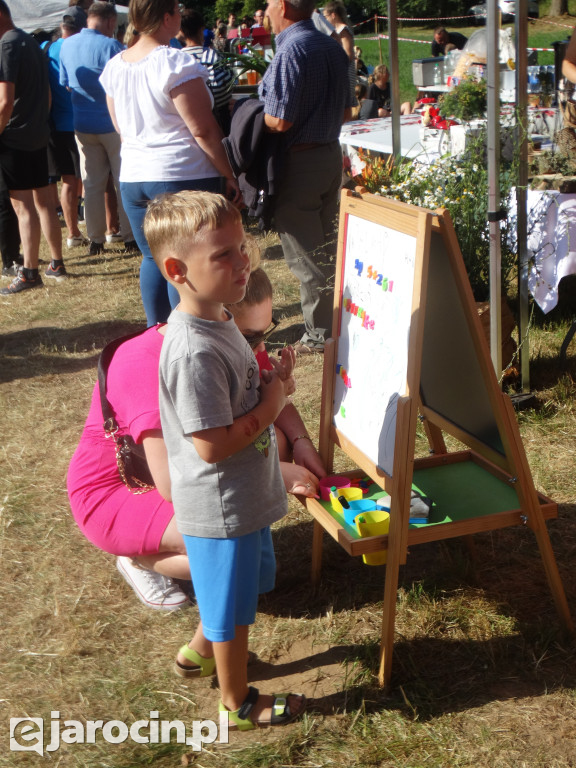 Niedziela przy Młynie w Wilkowyi