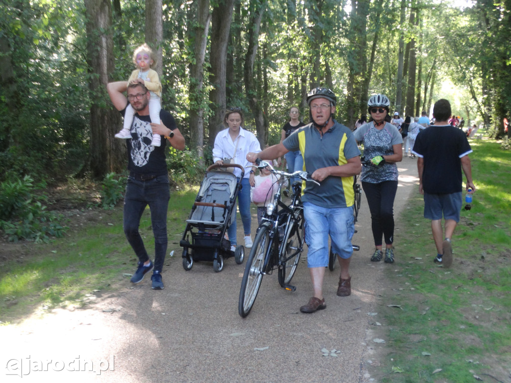 Niedziela przy Młynie w Wilkowyi