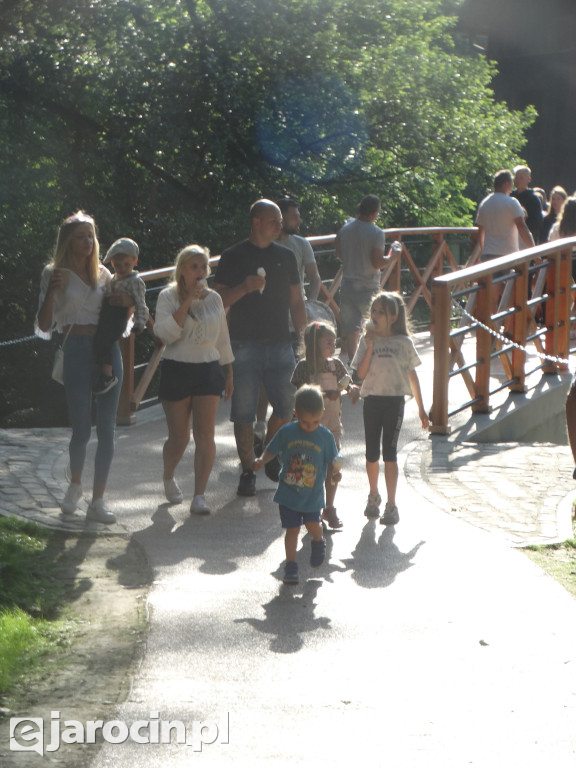 Niedziela przy Młynie w Wilkowyi