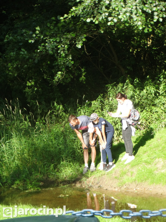 Niedziela przy Młynie w Wilkowyi