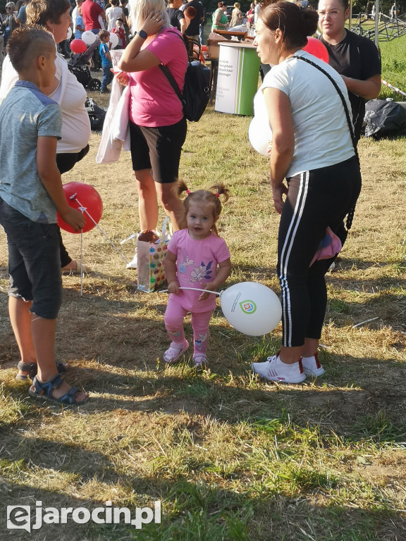 Niedziela przy Młynie w Wilkowyi