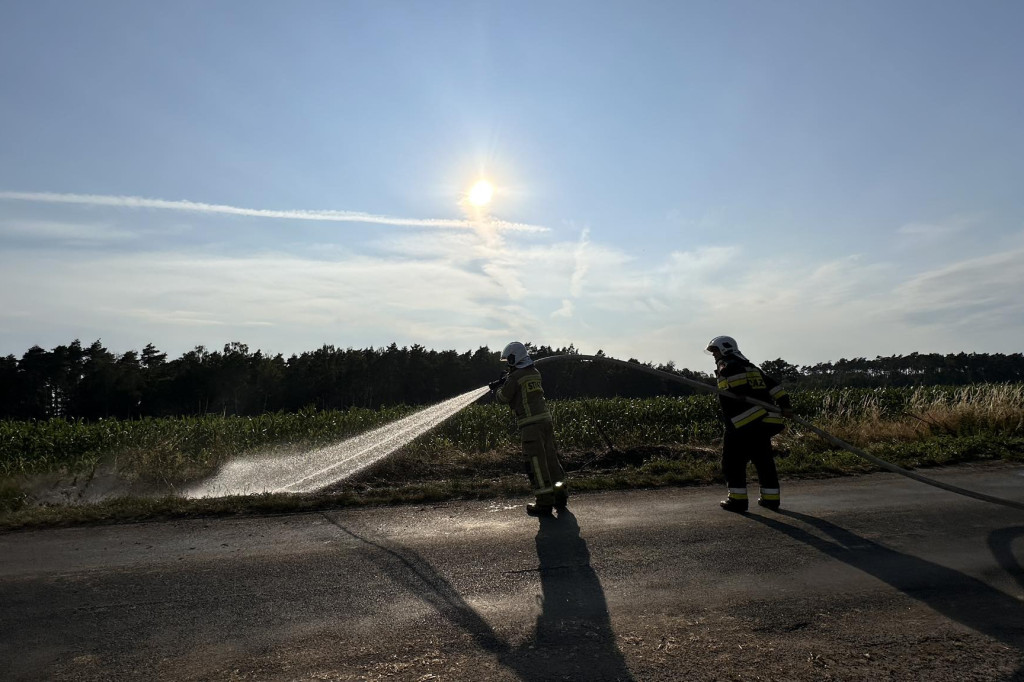 Pożar przy drodze na Radliniec