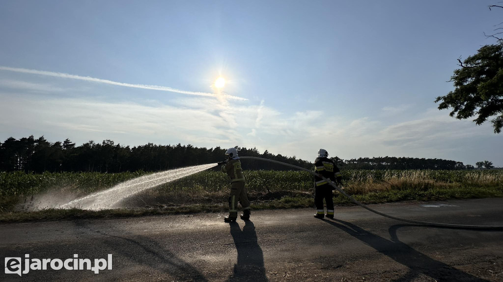 Pożar przy drodze na Radliniec