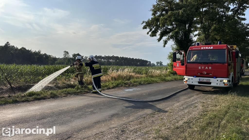 Pożar przy drodze na Radliniec