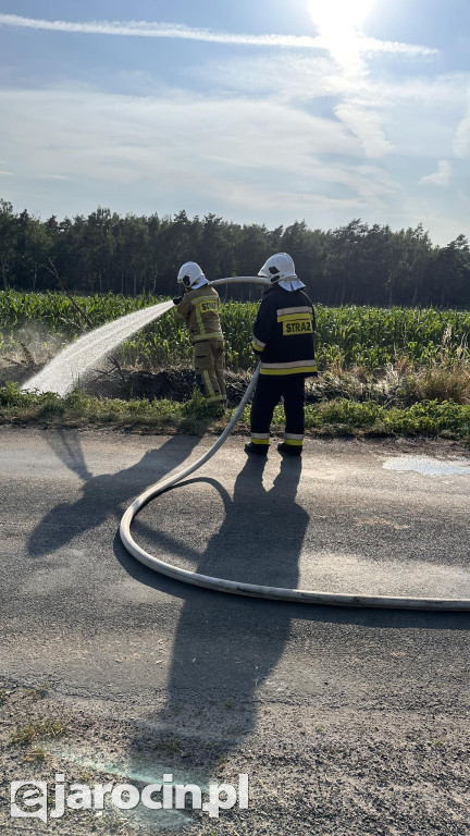 Pożar przy drodze na Radliniec